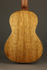 Martin TKE Acoustic Electric Tenor Ukulele - New