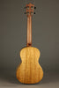Martin TKE Acoustic Electric Tenor Ukulele - New