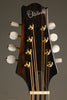 KR Strings Octolindo S Deluxe Octave Mandolin - New