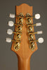 KR Strings Octolindo S Artist Octave Mandolin - New
