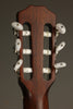 Taylor 314ce-N Acoustic Electric Nylon String Guitar - New