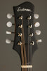 Eastman MD304E-SB Acoustic Electric Mandolin - New