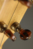 Rickard Maple Ridge 12" Five String Banjo - New