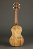 Martin C1K Concert Ukulele - New