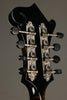 Northfield Big Mon NFB-F5I Italian Spruce Mandolin - New