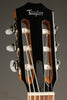 Taylor Guitars 814ce-N Nylon String Acoustic Electric Guitar - New