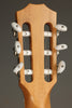Taylor Guitars 814ce-N Nylon String Acoustic Electric Guitar - New