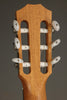 Taylor Academy 12e-N Nylon String Acoustic Electric Guitar - New
