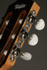 Taylor Academy 12e-N Nylon String Acoustic Electric Guitar - New