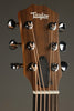 Taylor GS Mini Sapele Acoustic Guitar - New