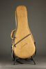 Kentucky KM-252 Mandolin - New