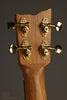 Kremona Coco Tenor Ukulele - New