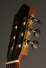 Kremona Fiesta FC Classical Guitar - New