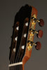 Kremona Verea Nylon String Acoustic Electric Guitar - New