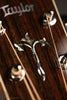 Taylor Legacy 810e Special Edition Acoustic Electric - New
