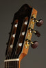 Kremona Fiesta FC Classical Guitar - New