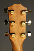 Taylor 224ce-K DLX Acoustic Electric Guitar - New