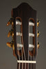 Kremona Sofia SC-T Classical Guitar - New