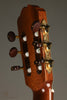 Kremona F65CW Nylon String Acoustic Electric Guitar - New