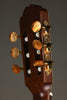 Kremona Sofia S63CW Nylon String Acoustic Electric Guitar - New
