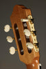 Kremona Rosa Lucia Flamanco Guitar - New