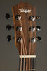 Taylor Baby-e (BT1e) Acoustic Guitar - New
