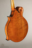 Northfield Big Mon NFB-F5IWN Amber Gloss Italian Spruce Wide Nut - New