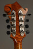 Northfield Big Mon NFB-F5IWN Amber Gloss Italian Spruce Wide Nut - New