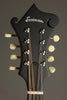 Eastman MD315 Wideneck Adirondack Amberburst F-Hole F-Style Mandolin - New
