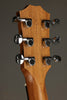 Taylor GS Mini-e Mahogany Acoustic Electric Guitar - New