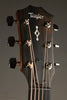 Taylor 414ce Next-Gen Acoustic Electric Guitars - New
