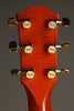 Taylor Doyle Dykes Signature Model Acoustic Electric Guitar - New