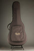Taylor Doyle Dykes Signature Model Acoustic Electric Guitar - New
