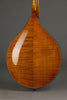 Northfield A4 Special NFMSP-A4 Amber Gloss Mandolin - Parent