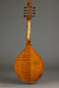 Northfield A4 Special NFMSP-A4 Amber Gloss Mandolin - Parent