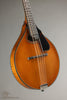 Northfield A4 Special NFMSP-A4 Amber Gloss Mandolin - Parent