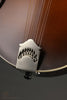 Northfield NFS-F5 Light Leather Burst Matte Mandolin - New