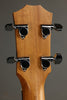 Taylor Guitars GS Mini-e Koa Bass Acoustic Bass New