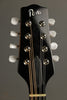 2013 Pava Mandolins A5 Player Mandolin Used
