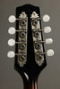 2013 Pava Mandolins A5 Player Mandolin Used