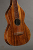 Graziano Weissenborn Style 4 Lap Steel New