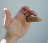 Shubb Reversible Guitar Slide